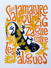 Image 1 of Une salamandre qui zigzague entre les algues