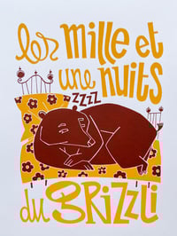 Image 1 of Les mille et une nuits du grizzli