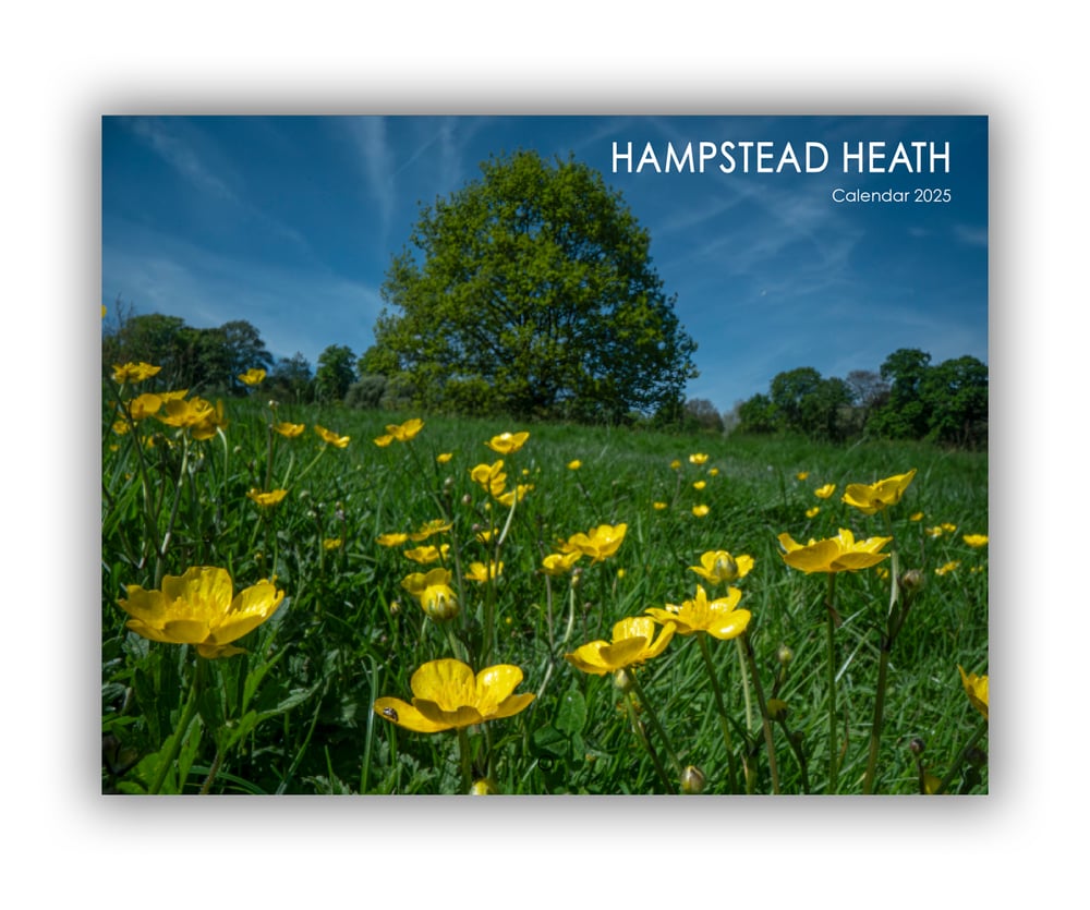 Image of 2025 Hampstead Heath Calendar