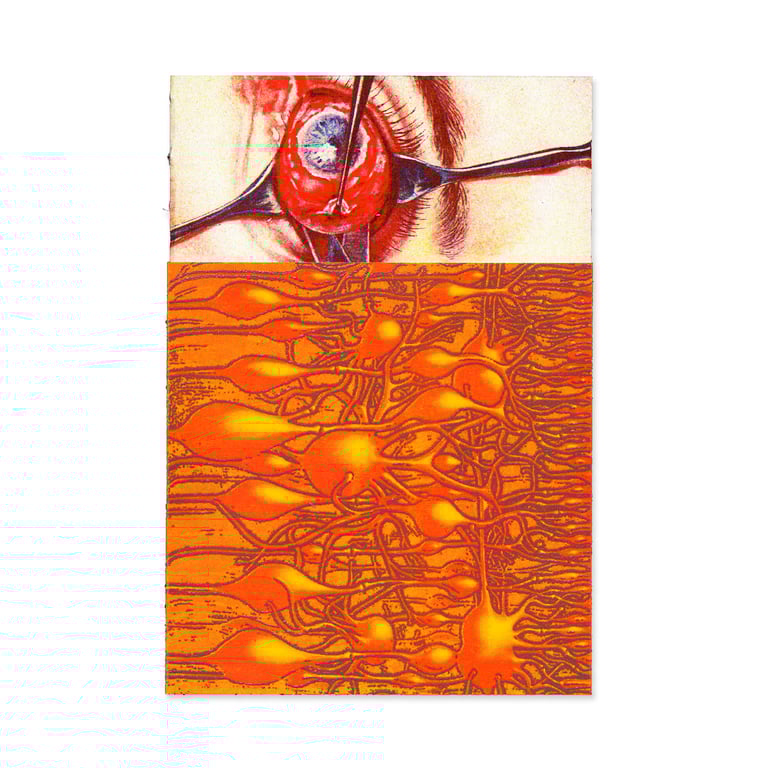 REALITY <-!-> DRIFTS