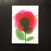 Image 1 of Pivoine #2