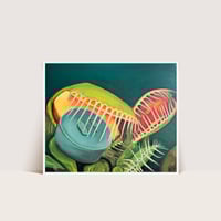 Evolution Giclée Print