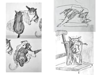 Image 3 of this is how i draw my cats