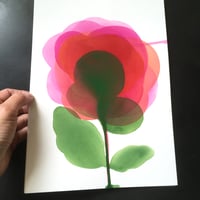 Image 2 of Pivoine #2