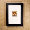 Woodland Fox - framed original