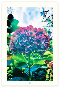 Image 1 of LOST IN WONDERLAND (36X24)
