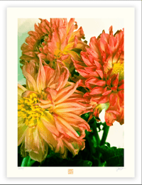 Image 1 of THE LAST GASP (24X18)