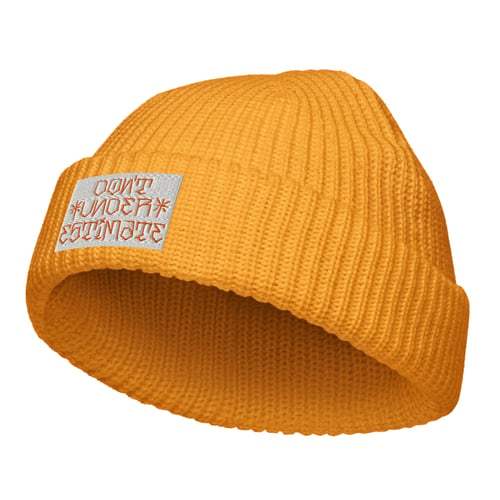 Image of Fisher's  Beanie