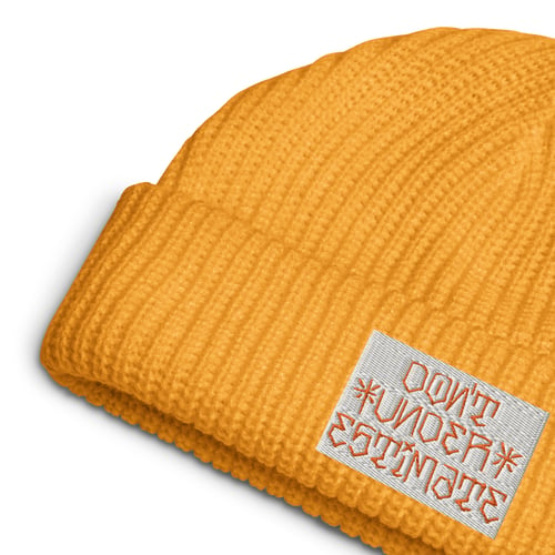 Image of Fisher's  Beanie