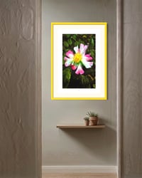 Image 3 of TECHNICOLOR FLOWER (36X24)