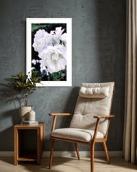 Image 2 of LAVENDER BLUE (36X24)