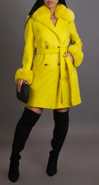 Image 3 of On The Town Coat