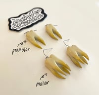 Image 2 of Molar Earrings