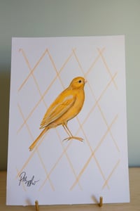 Image 3 of Original Painting - Canary Bird