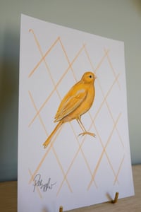 Image 4 of Original Painting - Canary Bird