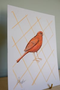 Image 3 of Original Painting - Red Factor Canary Bird