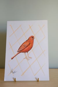 Image 4 of Original Painting - Red Factor Canary Bird