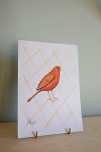 Image 5 of Original Painting - Red Factor Canary Bird