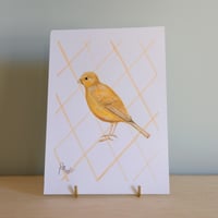 Image 1 of Original Painting - Yellow Canary Bird