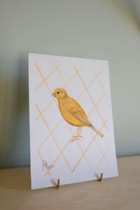 Image 2 of Original Painting - Yellow Canary Bird