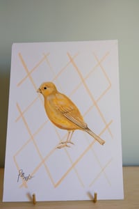 Image 3 of Original Painting - Yellow Canary Bird