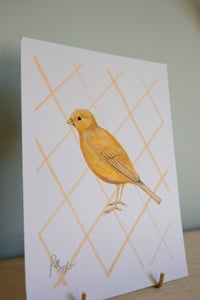 Image 4 of Original Painting - Yellow Canary Bird