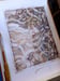 Image of 'From Cup to Cap' Original Artwork by Adam Oehlers