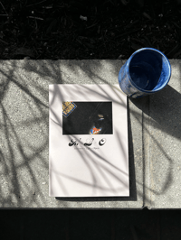 Movement + Light + Objects