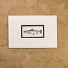 Rainbow Trout - matted art print