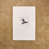 Wood Duck - matted print