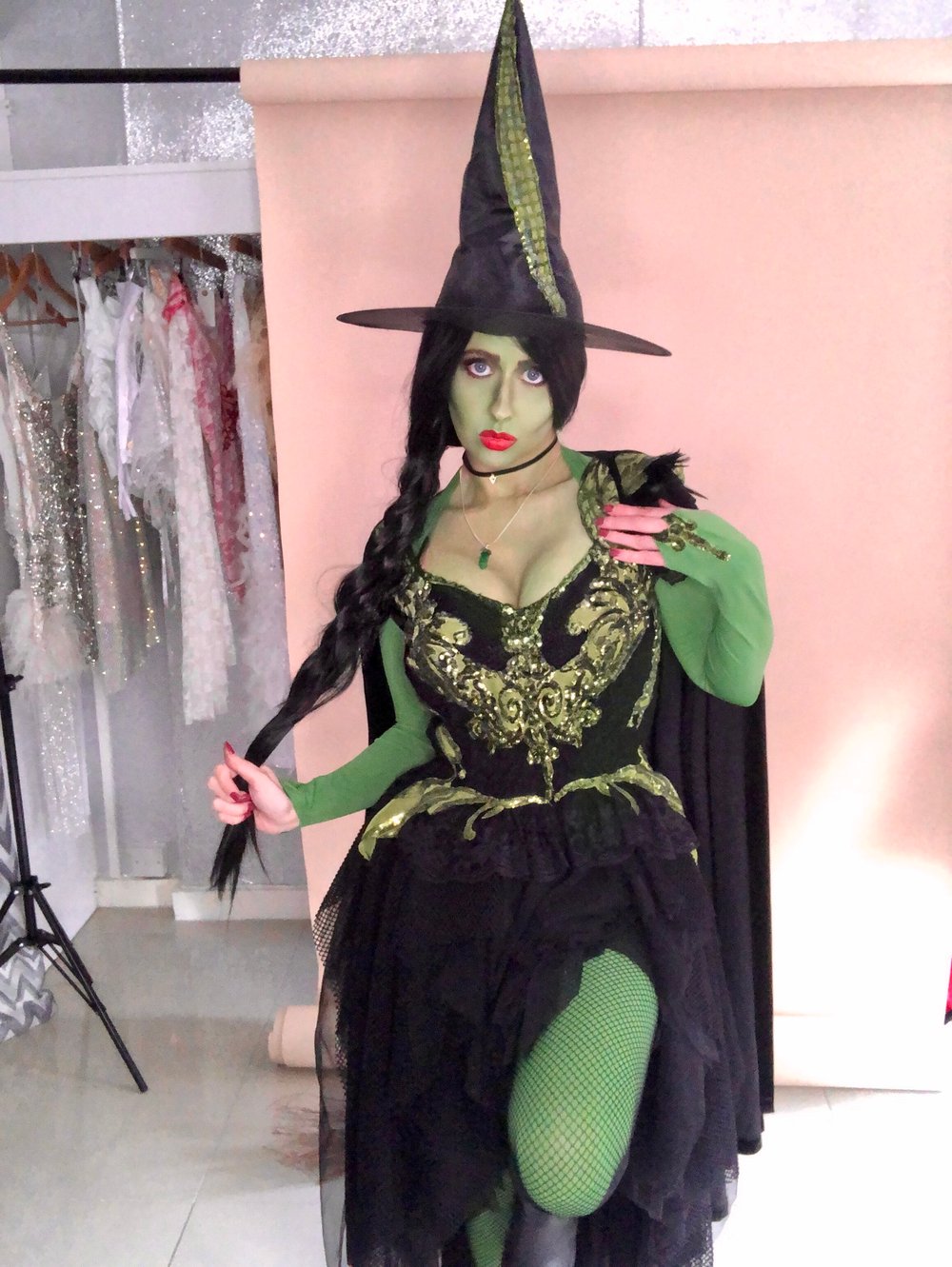 Image of Wicked Witch Costume