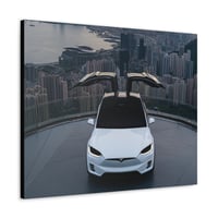 Image 1 of 2022 Telsa Model X Canvas