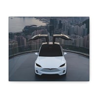 Image 2 of 2022 Telsa Model X Canvas