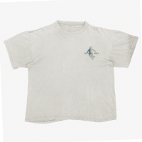 Image 2 of The Grey Area T-shirt (Deuce Dime City)  