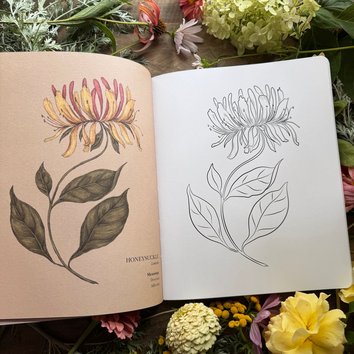 Image of The Floriography Coloring Book (Signed Copy)