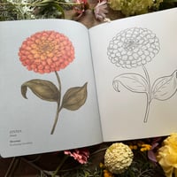 Image 3 of The Floriography Coloring Book (Signed Copy)