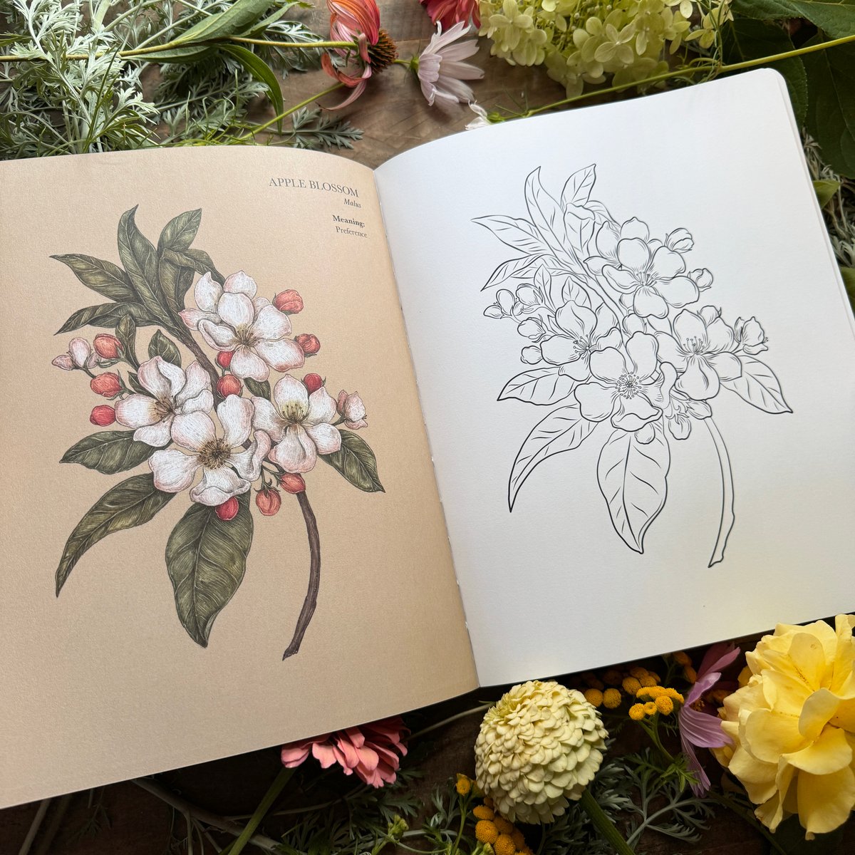 Image of The Floriography Coloring Book (Signed Copy)