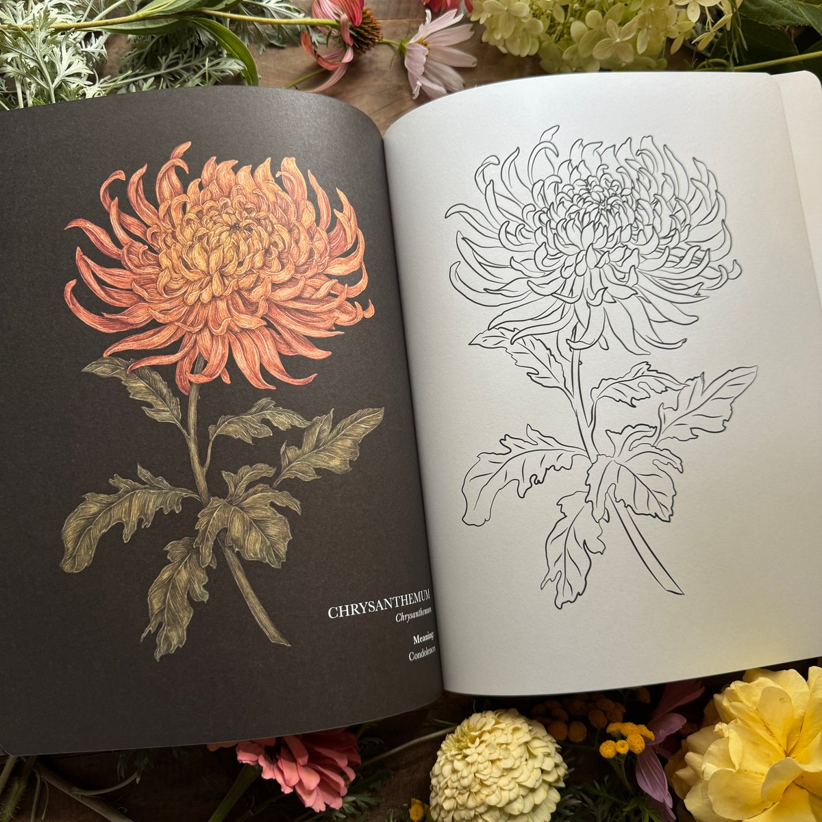 Image of The Floriography Coloring Book (Signed Copy)