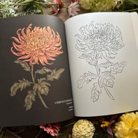 Image 5 of The Floriography Coloring Book (Signed Copy)