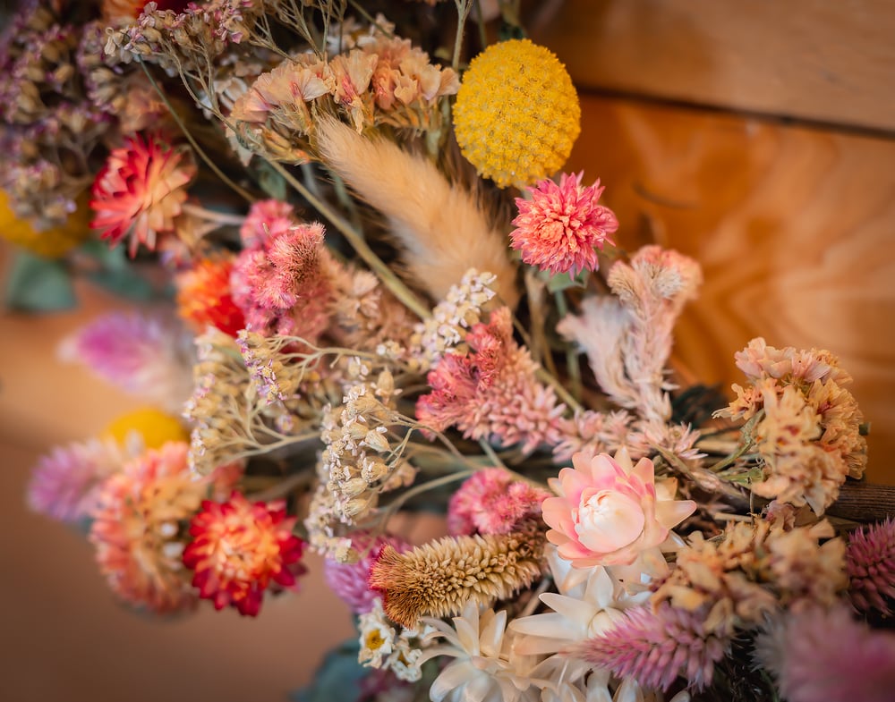 Image of Everlasting Dried Flower Wreath Class