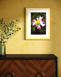 Image 4 of TECHNICOLOR FLOWER (24X18)
