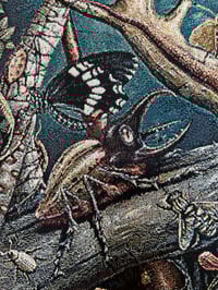 Image 11 of MANTIS MUNDI • CUSTOM TAPESTRY • 72 x 54 Inches!