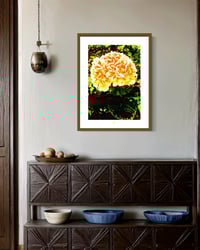 Image 3 of UNREAL HYDRANGEA (24X18)