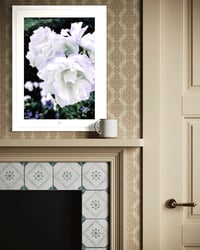Image 3 of LAVENDER BLUE (24X18)