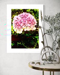 Image 2 of PINK BUBBLEGUM (24X18)