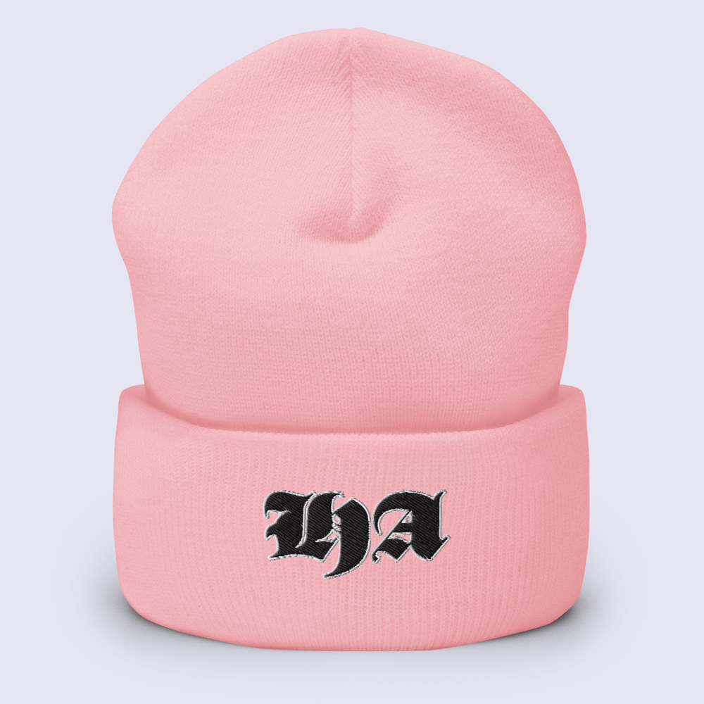 Cuffed Beanie