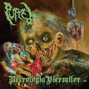 Image of Putred – Viermilor Necrology - CD