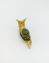 Image 1 of Olive & Leaf Green Snail