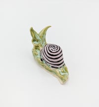 Image 1 of Turquoise Green & Purple Snail