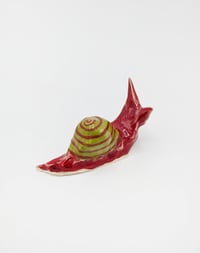 Image 1 of Red & Green Snail